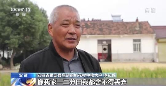 十八連豐！秋收近九成 我國糧食產(chǎn)能穩(wěn)步提升