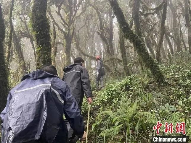 圖為救援現(xiàn)場(chǎng)。鎮(zhèn)沅縣委宣傳部提供