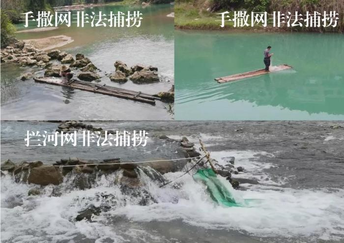 2021年9—10月，前期暗查發(fā)現(xiàn)，保護(hù)區(qū)核心區(qū)內(nèi)非法捕撈行為十分猖獗