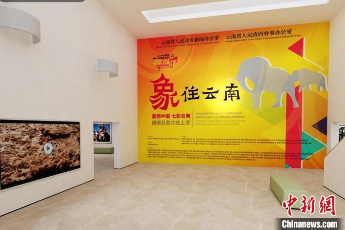圖為“象”往云南——美麗中國 七彩云南視頻及圖片線上展截圖。　胡遠(yuǎn)航 攝