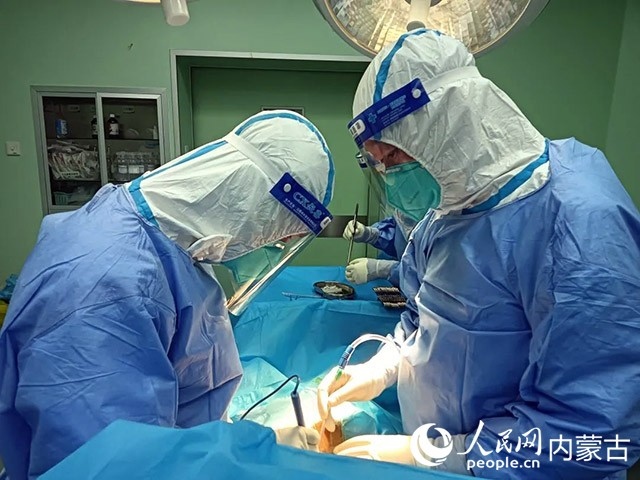 醫(yī)護人員正在為新冠肺炎合并腸梗阻腸穿孔的尿毒癥患者實施急診手術。呼和浩特市第一醫(yī)院供圖
