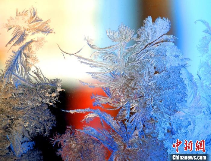 冰窗花千姿百態(tài)?！O書程 攝