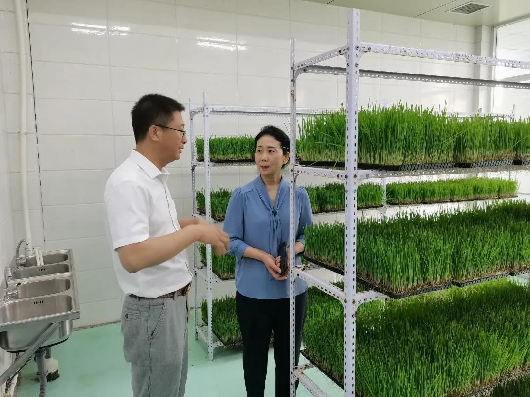 1623723817105357.jpg 微信圖片_20210615095854.jpg