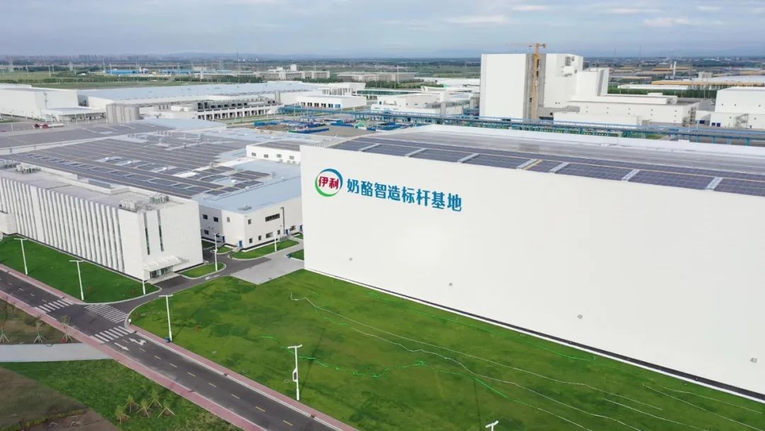 1691816597239256.jpg 7.jpg