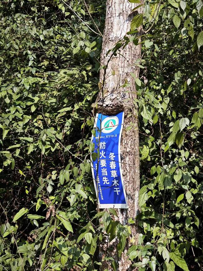路邊的防火宣傳標語.jpg