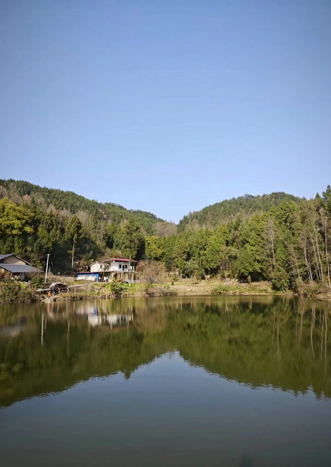 這樣在對面看，老家也算依山傍水.jpg