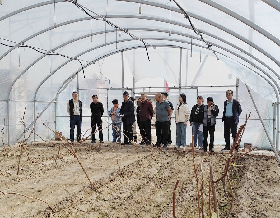 1717055598129017.png 1.png