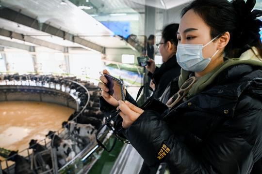 1731315588648316.jpg 2fab_17880_eff_thumb_61d24e32-cc28-40c3-88f8-7f01656fd255.jpg