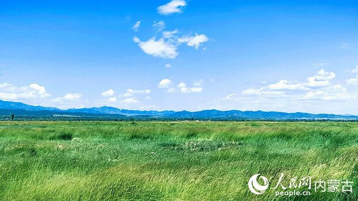 內蒙古1.jpg
