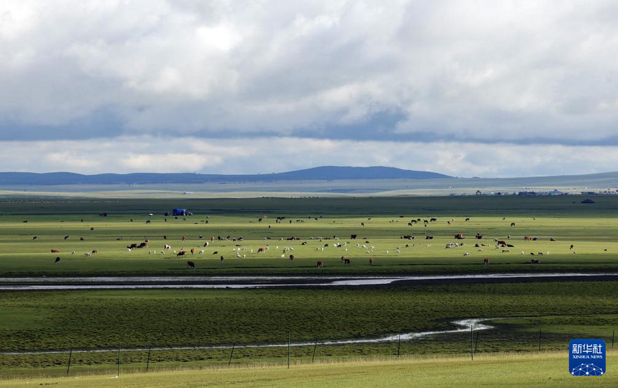 1754375916121646.jpg 20250804cbf74faacd9b4b2f964ec61d29ed561b_20250804ff885656b7aa40c48759191b2cd8e87e.jpg