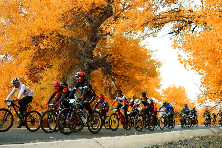 1758931714406822.png c42b4c1a6f30693d11425bd6d0dca335.png