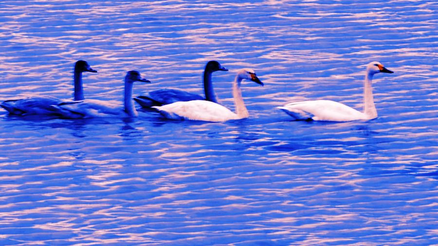 1759713397116289.jpeg WechatIMG7736.jpeg