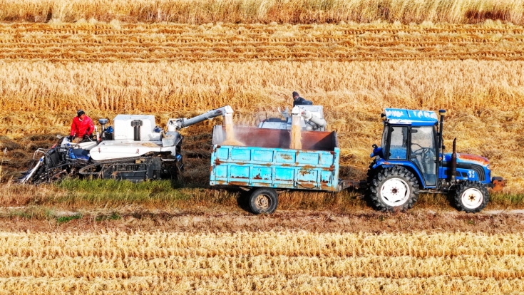 1760944868656148.png 1.png