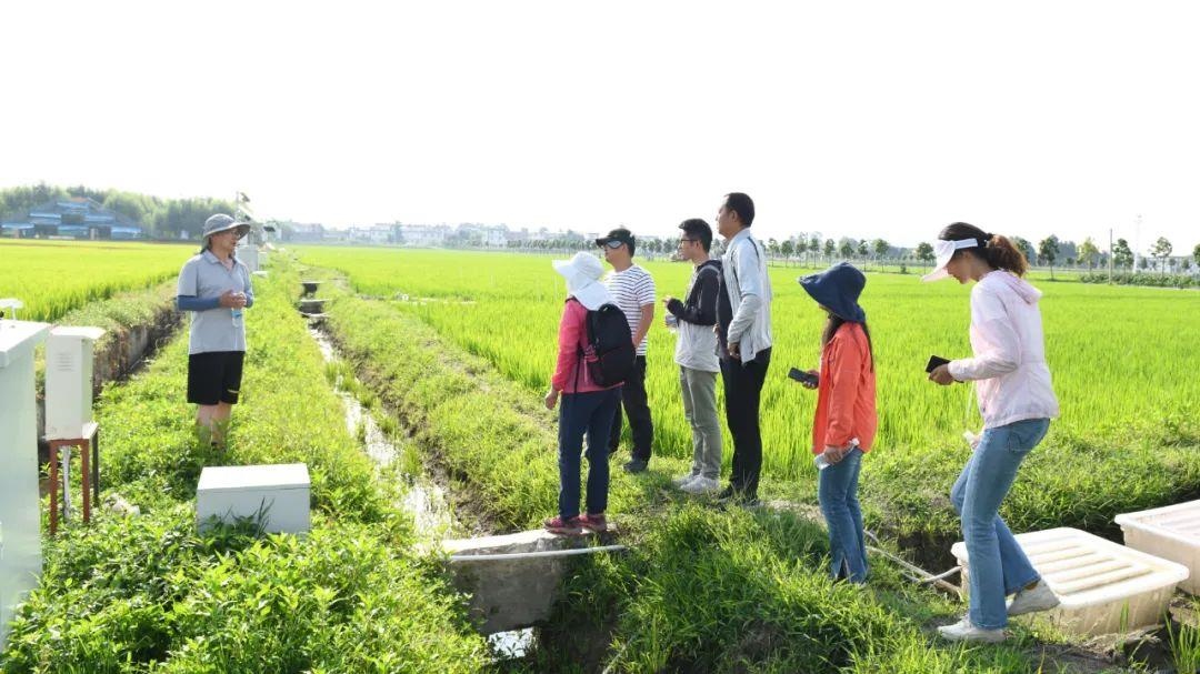 △云南大理古生村科技小院成員在田間調(diào)查。