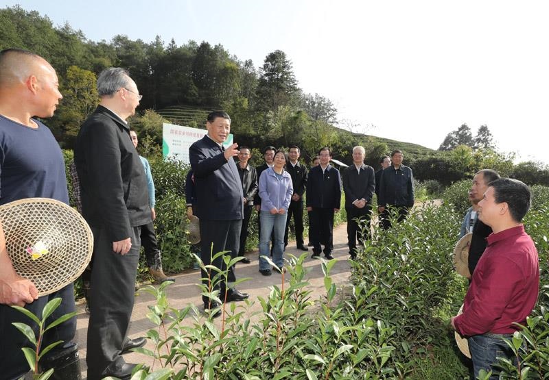2021年3月22日，習近平總書記在福建南平武夷山市星村鎮(zhèn)燕子窠生態(tài)茶園，同科技特派員、茶農(nóng)親切交流，了解當?shù)夭璁a(chǎn)業(yè)發(fā)展情況。