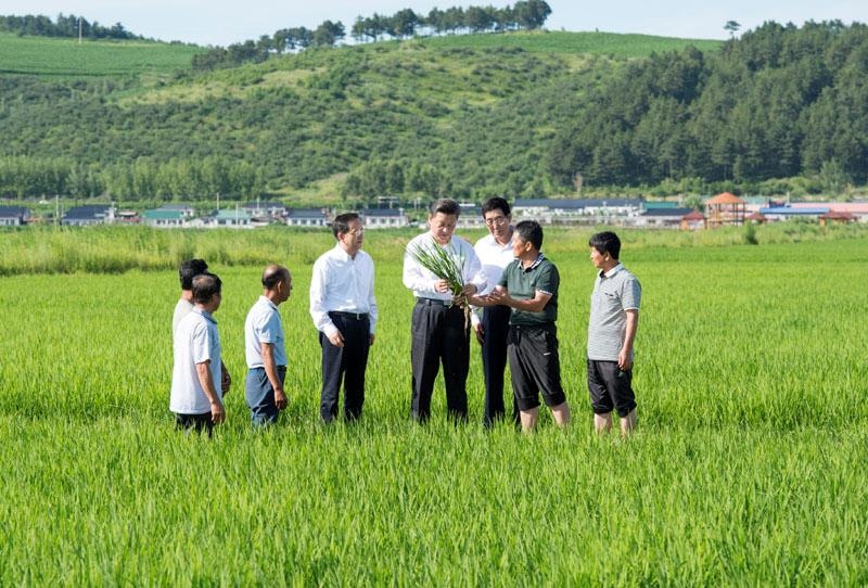 2015年7月16日，習近平總書記在吉林延邊州光東村稻田同村民和農(nóng)技人員交流。