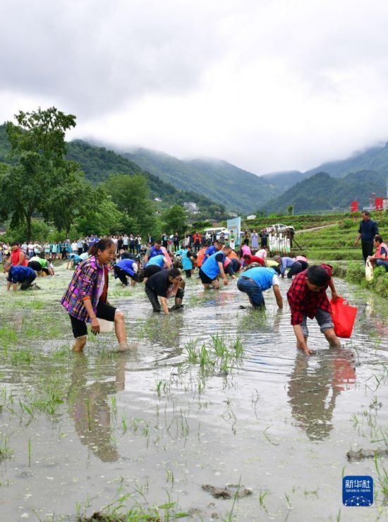5月27日，秭歸縣九畹溪鎮(zhèn)農(nóng)民參加摸魚比賽。