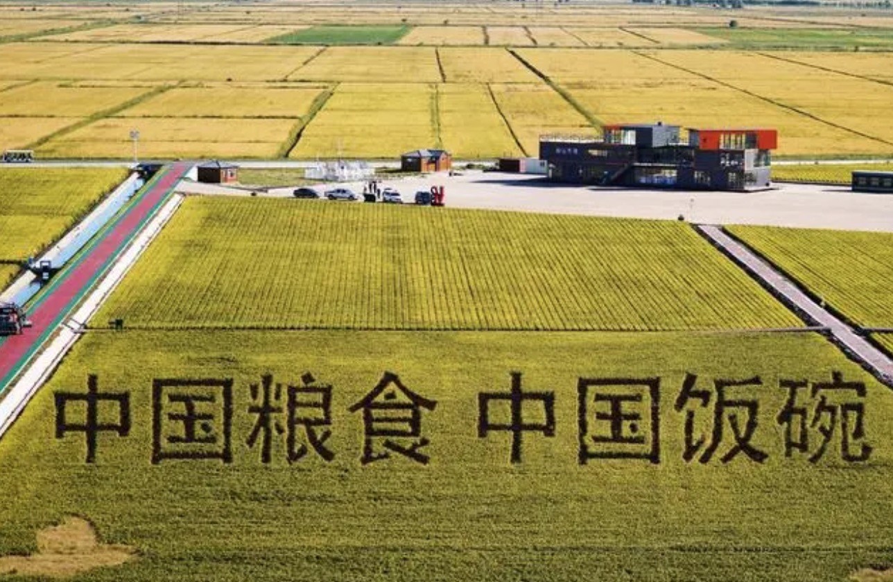 2022年9月2日，黑龍江省富錦市萬畝水稻科技示范園內(nèi)的稻田畫。