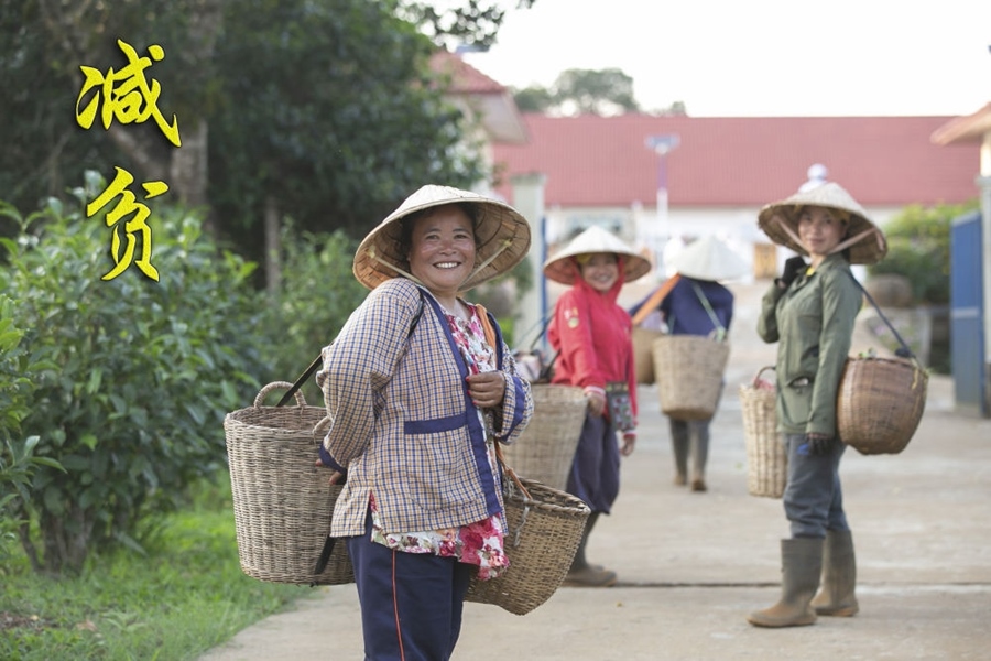 村民到老撾南部波羅芬高原上的36莊園茶廠售賣(mài)茶葉（2022年3月25日攝）。中資公司老撾36莊園有限公司近年來(lái)在老撾南部高原開(kāi)發(fā)當(dāng)?shù)毓挪铇?shù)資源，以中國(guó)工藝制茶，依靠茶產(chǎn)業(yè)帶動(dòng)當(dāng)?shù)匕傩彰撠氈赂弧? width=