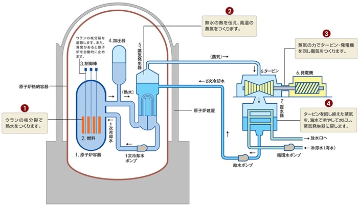 核電站運(yùn)作原理圖。通常的核電站排水未直接接觸核燃料。（圖片來源：日本北海道電力株式會(huì)社網(wǎng)站）