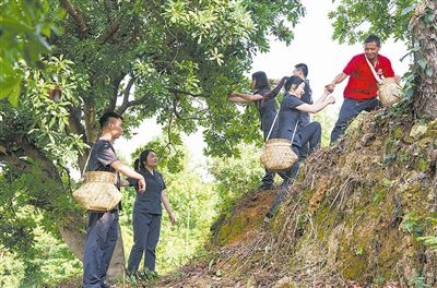 村民幫助志愿者爬上山坡。