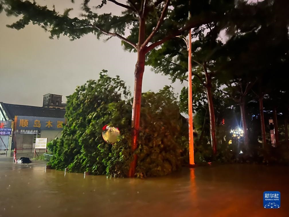 7月17日晚，在廣東湛江海濱大道北，路邊的樹木被風(fēng)刮倒（手機照片）。新華社記者 鄧華 攝