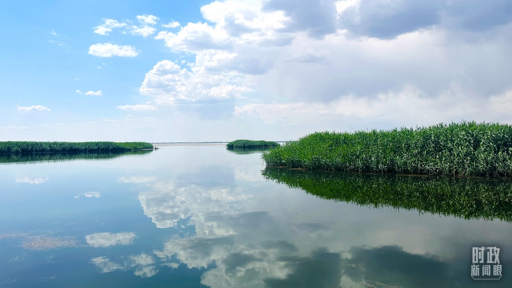 內(nèi)蒙古烏梁素海，是黃河流域最大的湖泊濕地。（總臺(tái)央視記者范一鳴拍攝）