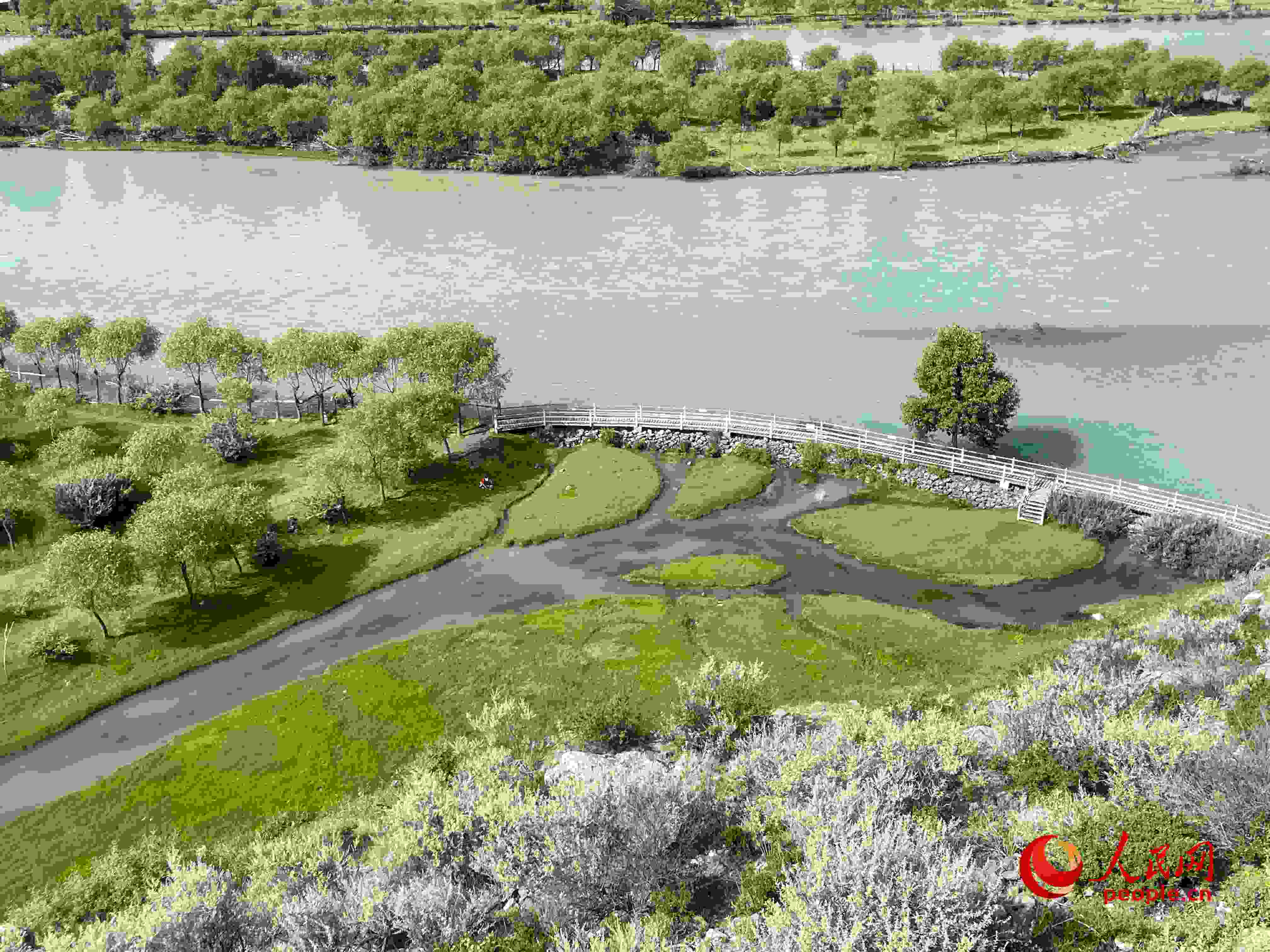 夏日的雅尼國家濕地公園生機盎然，如詩如畫。人民網(wǎng) 周靜圓攝
