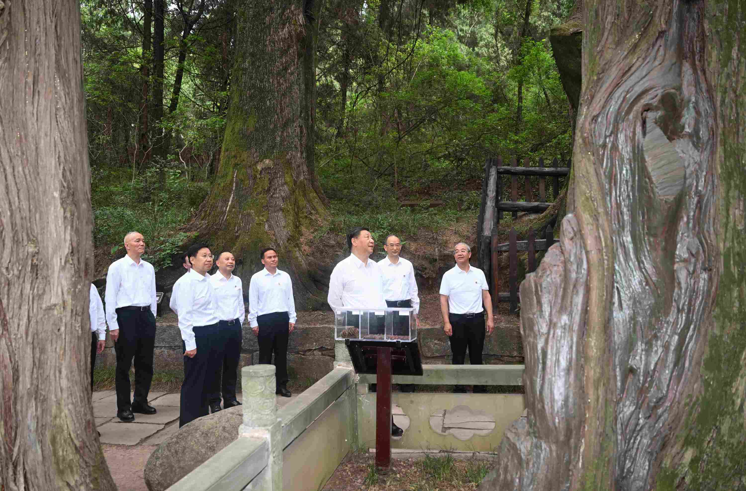 △2023年7月25日，習近平總書記在四川省廣元市考察了翠云廊古蜀道，了解當?shù)赝七M歷史文化傳承、加強生態(tài)文明建設(shè)等情況。