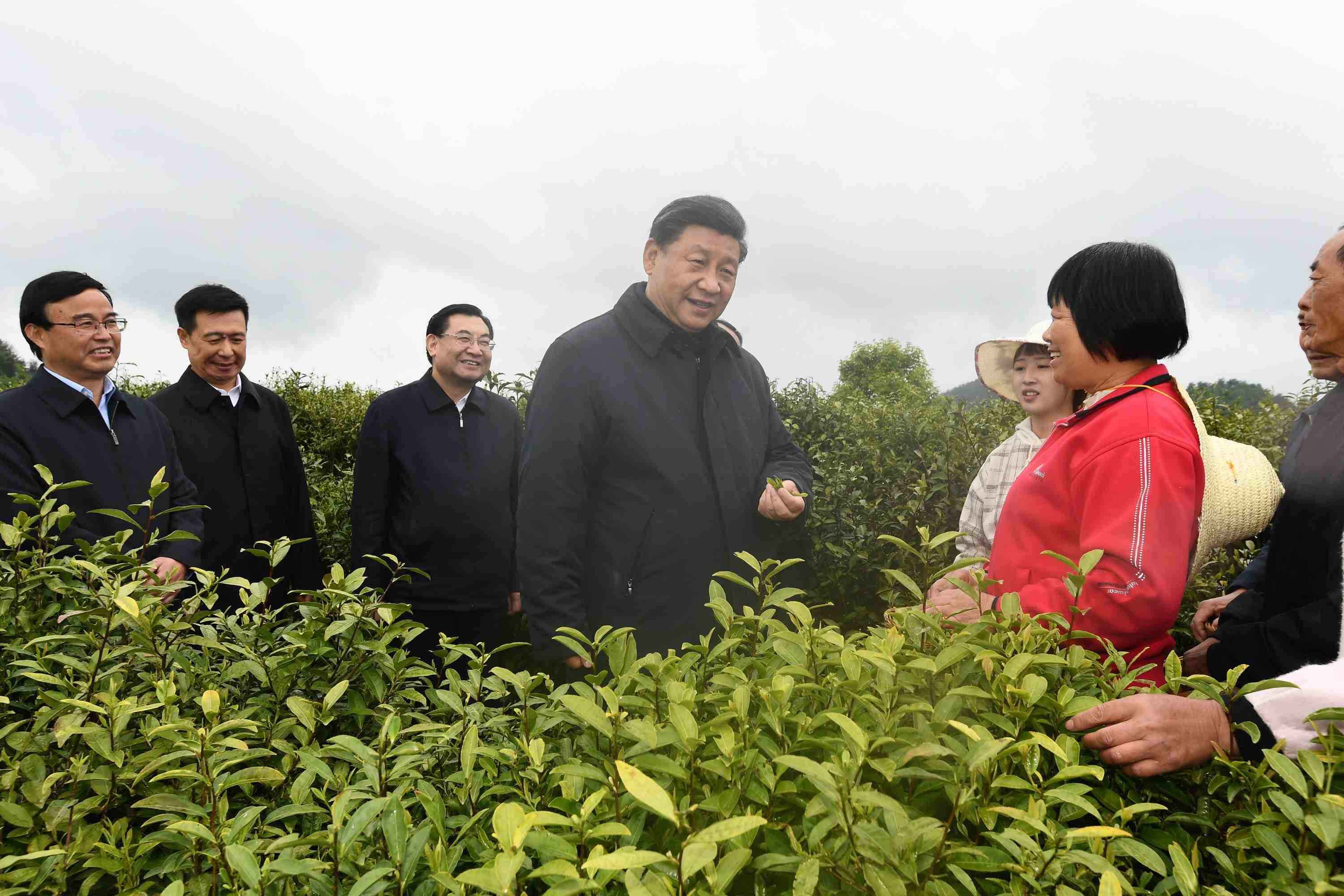 4月20日至23日，中共中央總書記、國(guó)家主席、中央軍委主席習(xí)近平在陜西考察。這是4月21日，習(xí)近平在安康市平利縣老縣鎮(zhèn)蔣家坪村女媧鳳凰茶業(yè)現(xiàn)代示范園區(qū)，同茶農(nóng)們親切交談。