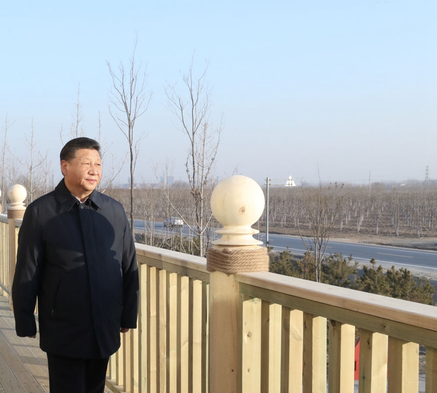 2019年1月16日，習(xí)近平在河北雄安新區(qū)考察調(diào)研。在“千年秀林”大清河片林一區(qū)造林區(qū)域，習(xí)近平登上秀林驛站二層平臺遠(yuǎn)眺林區(qū)全貌。