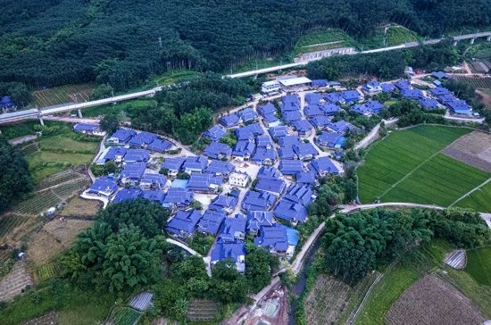 磨憨鎮(zhèn)曼莊村大龍哈小組現(xiàn)代化邊境幸福村新貌。人民網(wǎng)記者 符皓攝