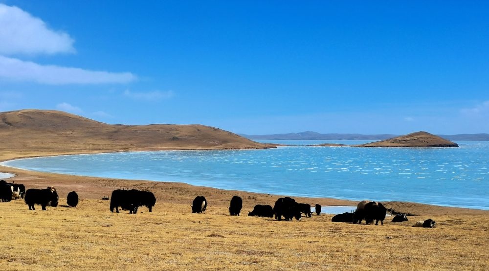 在三江源國(guó)家公園黃河源園區(qū)拍攝的扎陵湖風(fēng)光（2022年3月12日攝）。新華社記者 呂雪莉 攝