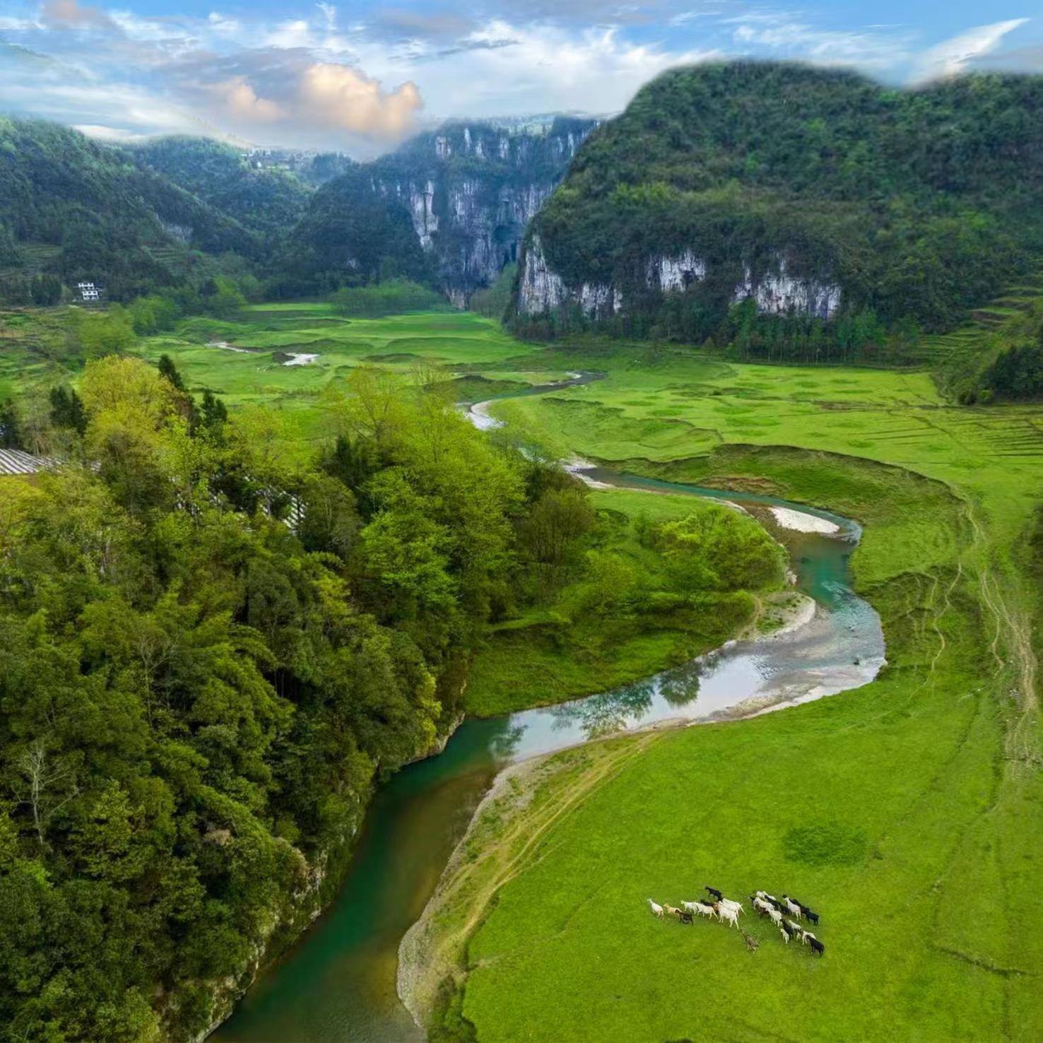 棣棠鄉(xiāng)龍氼孔千畝大草原自駕露營基地。棣棠鄉(xiāng)人民政府供圖