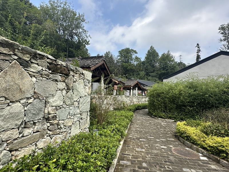 眾多民宿坐落于夫子山山麓。人民網(wǎng) 王紹紹攝