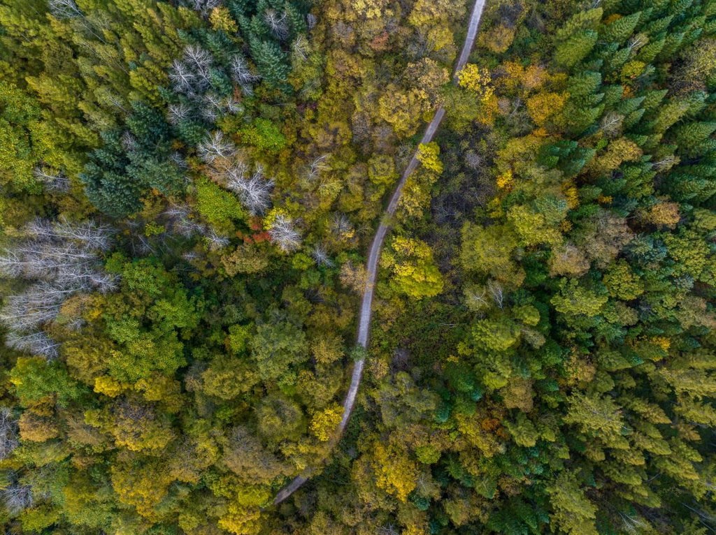 綠意盎然的長白山地區(qū)。王哲攝