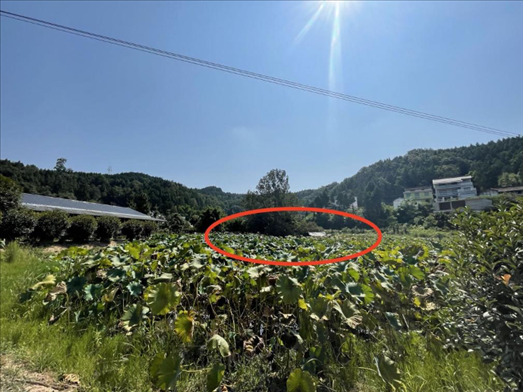 曾經(jīng)的圣水園所在地。 人民網(wǎng)記者 楊喬攝