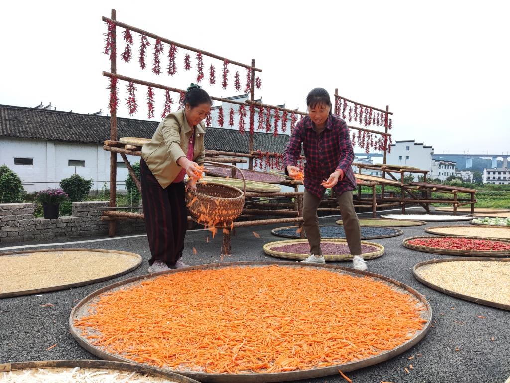 近日，江西省上饒市婺源縣秋口鎮(zhèn)王村的村民正在晾曬農(nóng)作物。新華社記者 劉佳敏 攝