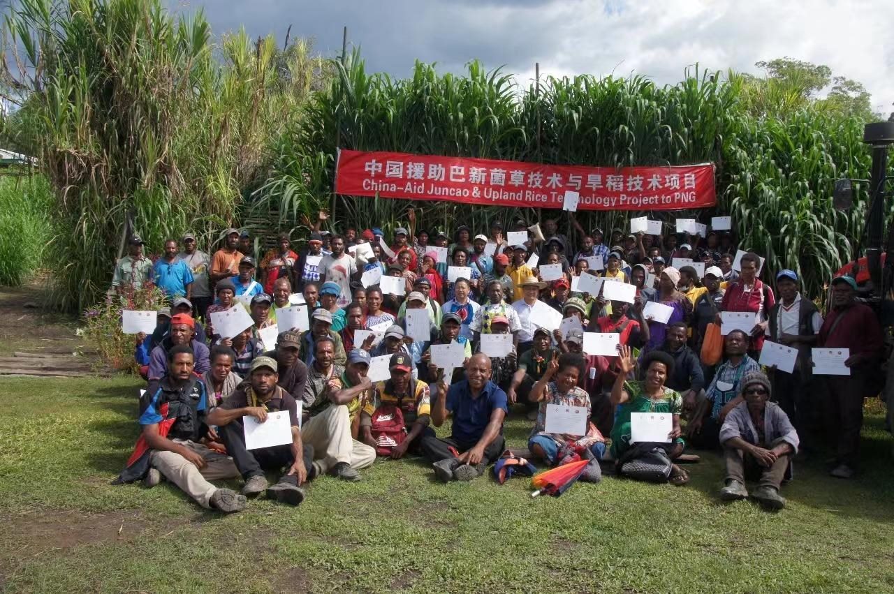 △2020年12月17日，在巴布亞新幾內(nèi)亞東高地省，參加中國援助巴新菌草和旱稻技術(shù)項目第9期培訓(xùn)班的當(dāng)?shù)孛癖娬故窘Y(jié)業(yè)證書。