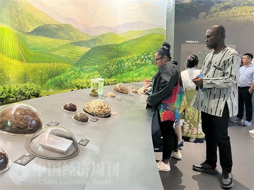  （在中國(guó)藥都中醫(yī)藥博物館，外媒記者了解中醫(yī)藥發(fā)展史。中國(guó)經(jīng)濟(jì)周刊記者 郭志強(qiáng) 攝）