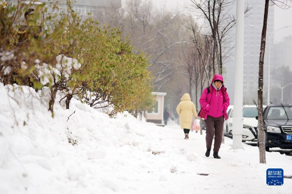 11月16日，市民在雪中前行。當(dāng)日，黑龍江哈爾濱市迎來(lái)雨雪天氣。新華社記者 王建威 攝