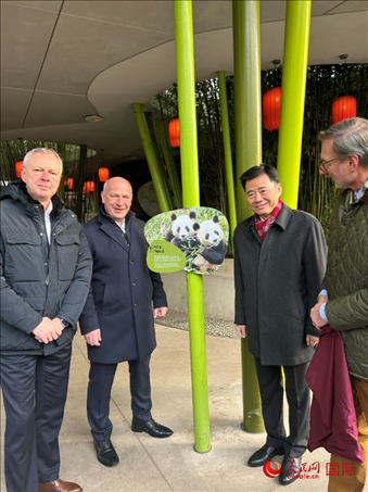 中國(guó)駐德國(guó)大使吳懇（右二）、柏林市長(zhǎng)韋格納（左二）、動(dòng)物園園長(zhǎng)克尼里姆（右一）和監(jiān)事會(huì)主席布魯克曼（左一）共同為“夢(mèng)想”“夢(mèng)圓”大熊貓紀(jì)念牌揭幕。人民網(wǎng)記者 徐馨攝