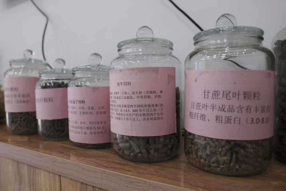這是12月13日在來賓市興賓區(qū)小平陽(yáng)鎮(zhèn)一家飼料廠拍攝的以甘蔗尾葉為原料制成的飼料。