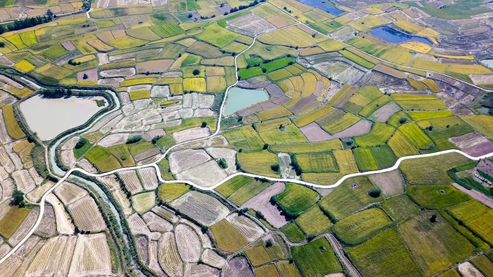 安徽省鳳陽(yáng)縣小崗村的田野景象（2018年9月27日攝，無人機(jī)照片）。新華社記者 張端 攝