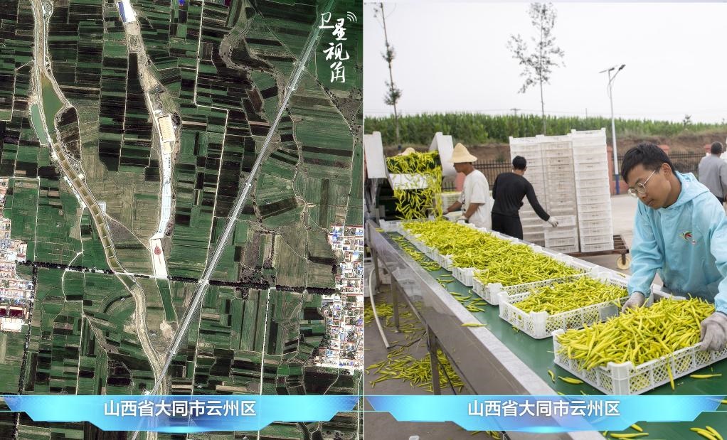 當前，大同市開發(fā)黃花菜品、食品、飲品、功能食品、化妝品、文創(chuàng)產(chǎn)品六大系列130余種，全產(chǎn)業(yè)鏈產(chǎn)值超40億元。