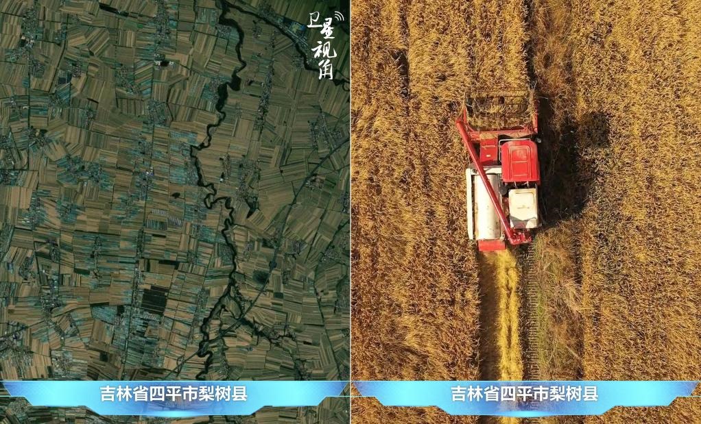 隨著現(xiàn)代化農(nóng)機普及應(yīng)用，保護性耕作“梨樹模式”得以大面積推廣，不僅使黑土地保護與利用持續(xù)深入，更為糧食作物高產(chǎn)穩(wěn)產(chǎn)助力。