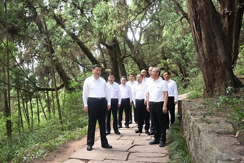 2023年7月25日，習(xí)近平總書記在四川廣元市劍閣縣翠云廊考察。新華社記者 謝環(huán)馳 攝
