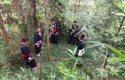 “瑤老”人民調(diào)解員翻山越嶺開展現(xiàn)場(chǎng)調(diào)解。