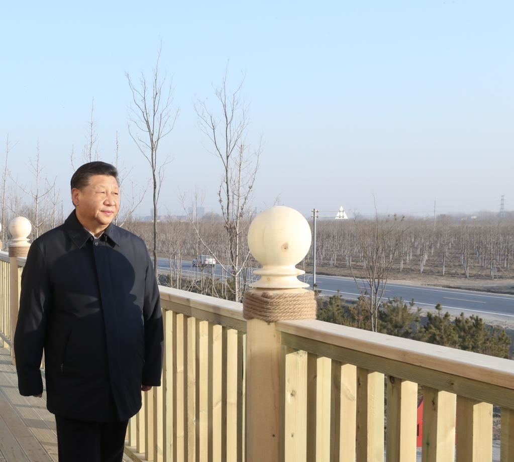 2019年1月16日，在河北雄安新區(qū)“千年秀林”大清河片林一區(qū)造林區(qū)域，習(xí)近平總書記登上秀林驛站二層平臺(tái)遠(yuǎn)眺林區(qū)全貌。新華社記者 鞠鵬 攝