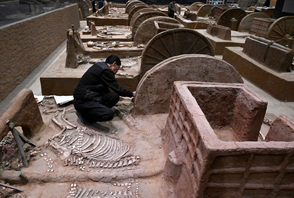 工作人員在殷墟博物館新館的展廳內(nèi)修復(fù)車馬遺跡（2月23日攝）。